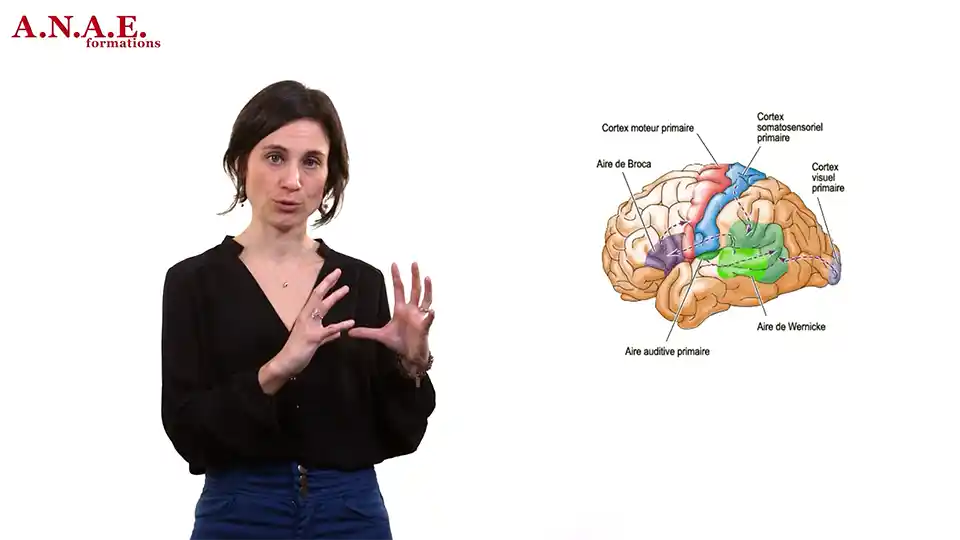 Trouble de la lecture - Redlec