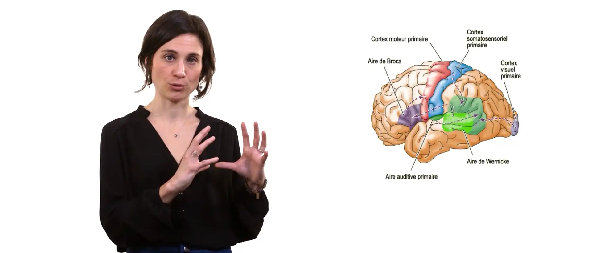 Trouble de la lecture - Redlec