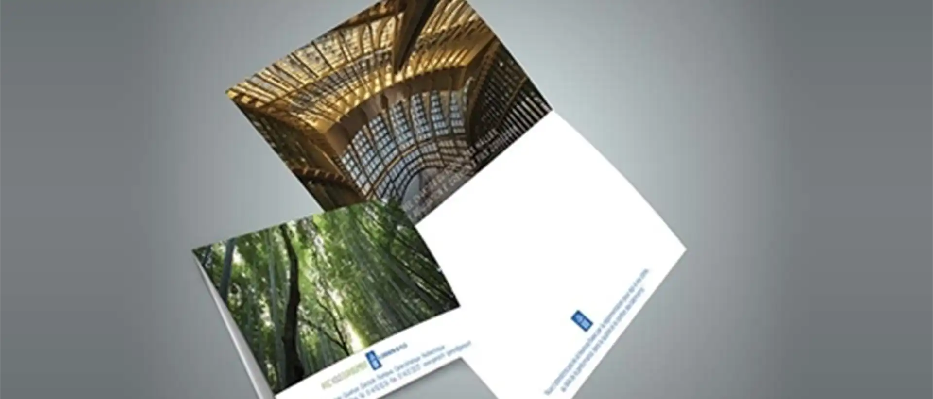 Cartes de vœux entreprise