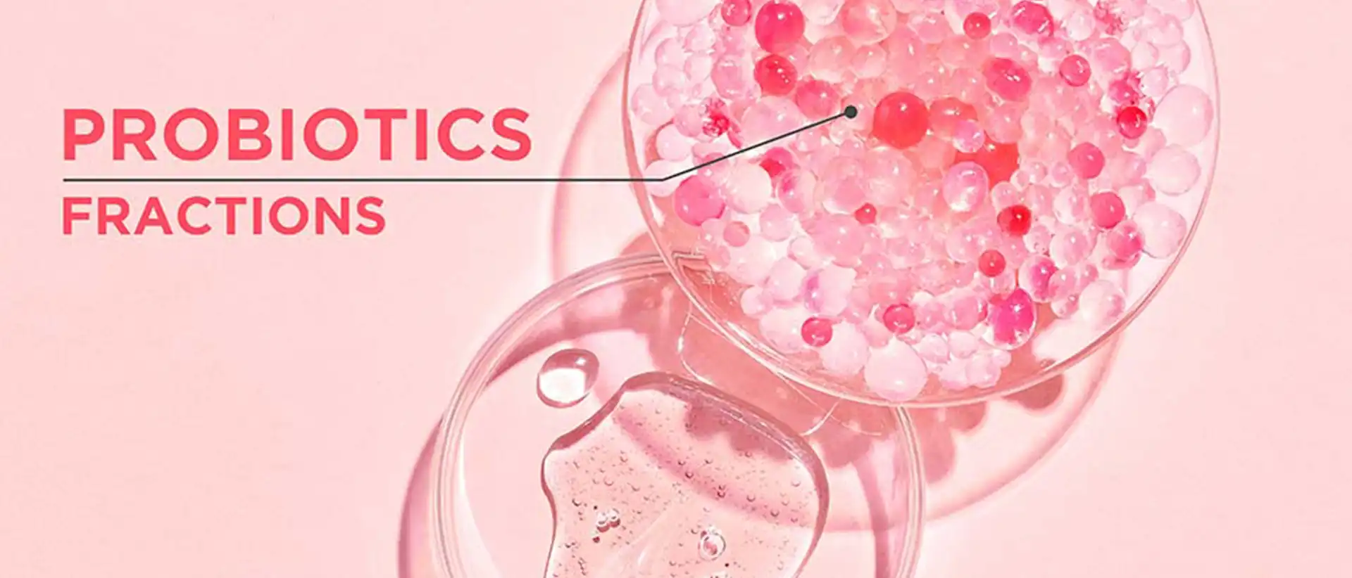 L'Oréal Garnier Probiotic Mask