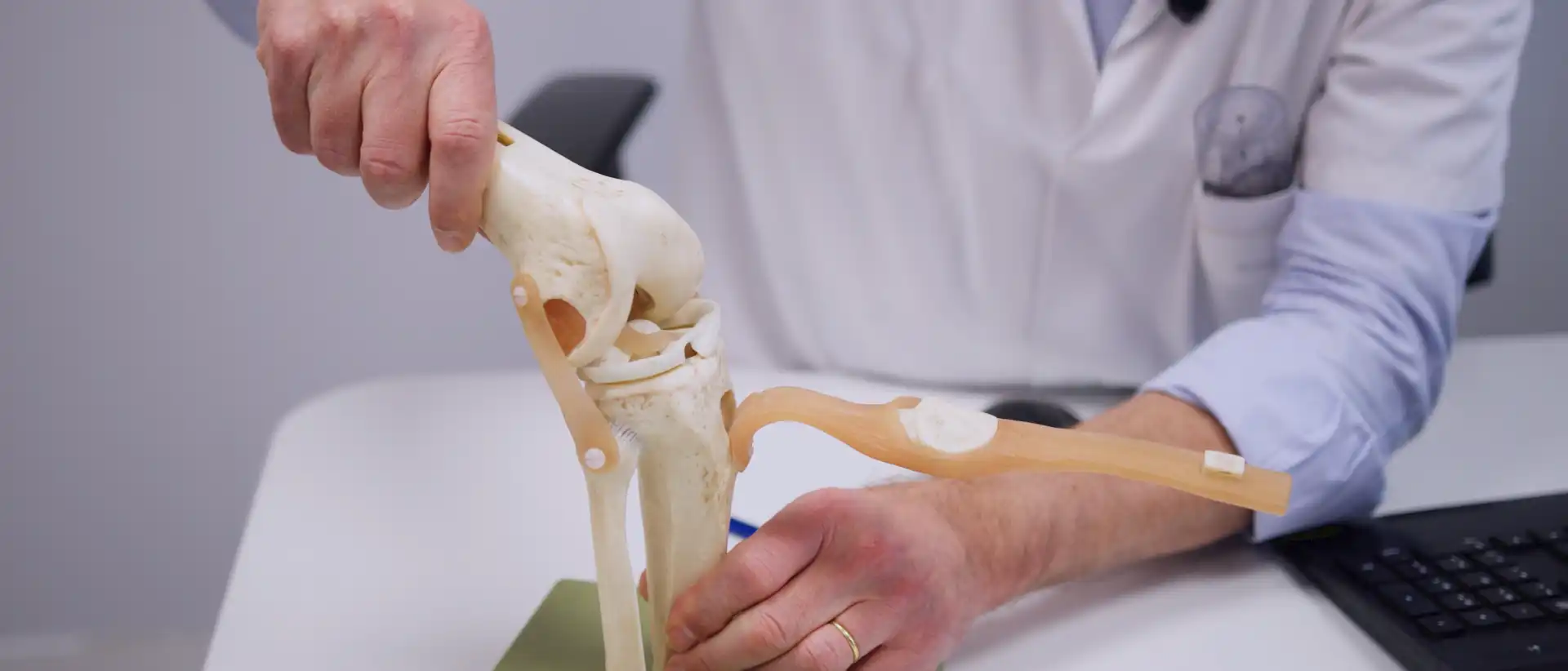 Droit interne et demi tendineux