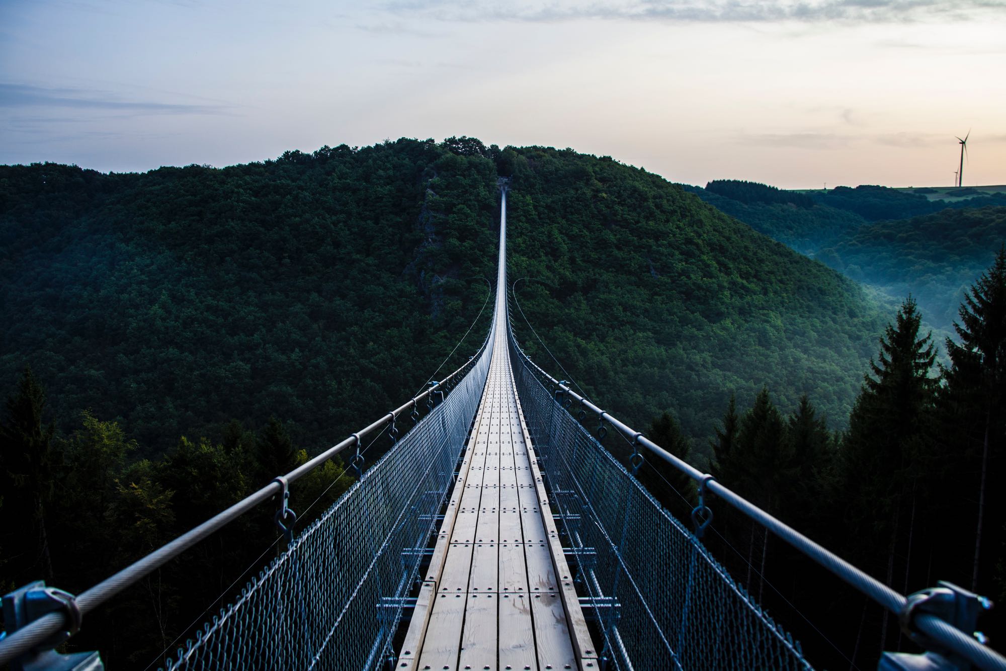 A long bridge crossing over a dense forest