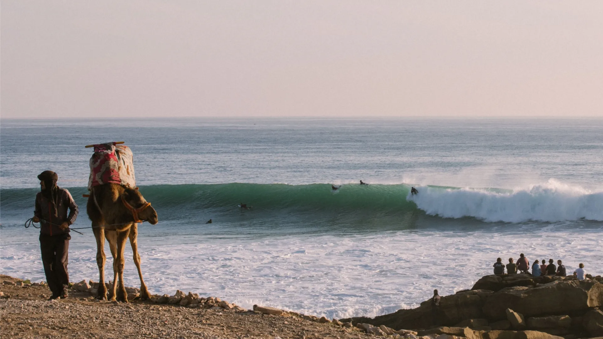 Foto of a camel in front of perfect anchor point wave