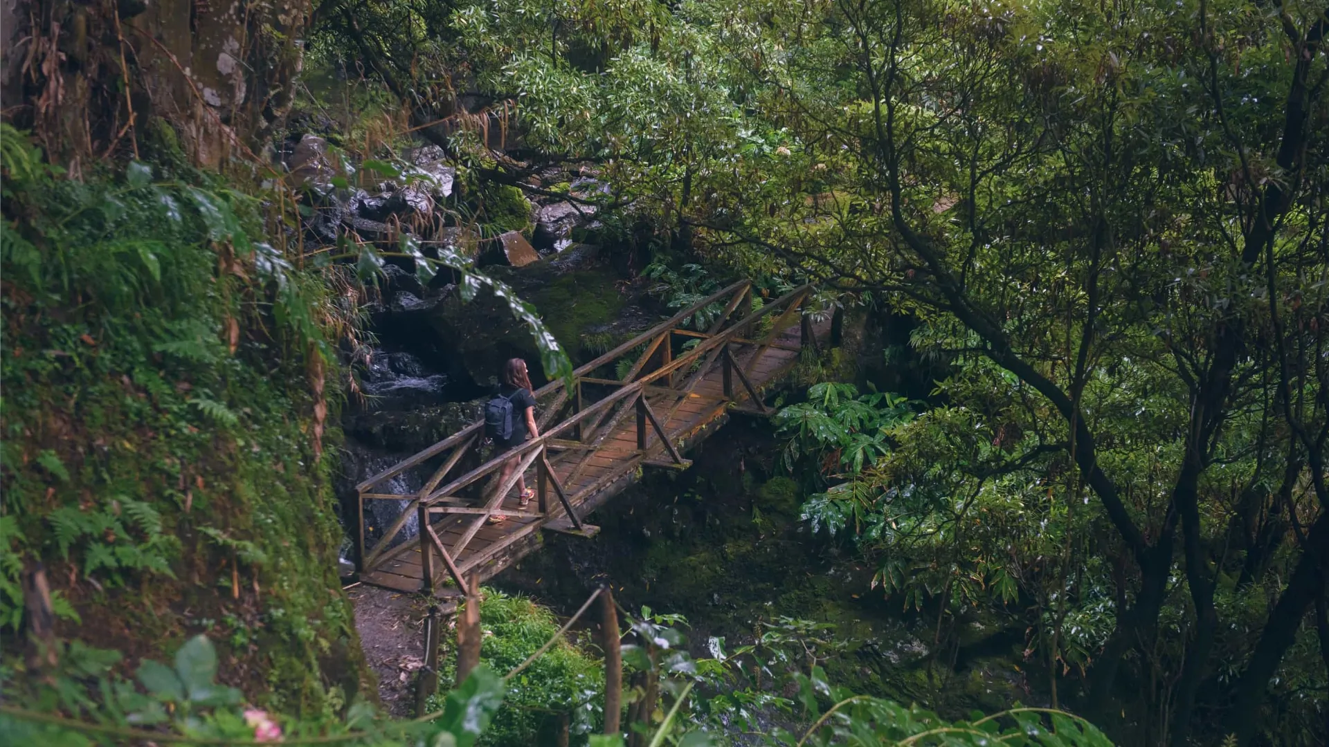 sri lanka restaurant night vibes