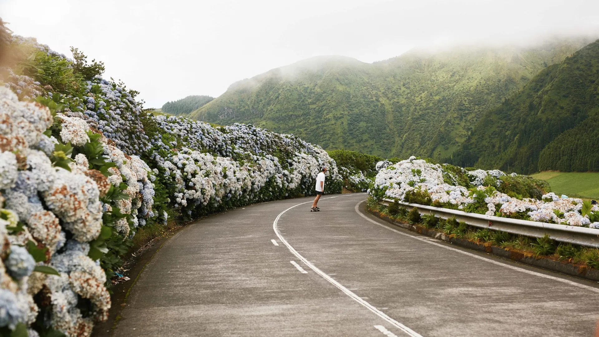 skating in between the flowers