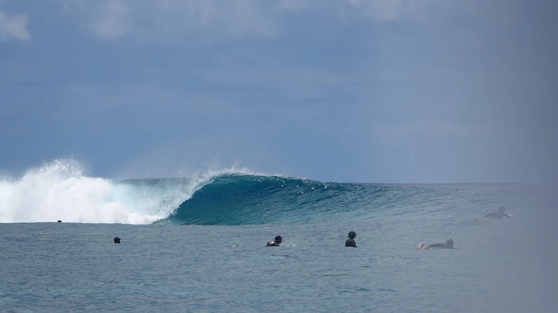 Perfect left wave and 5 surfers in the water