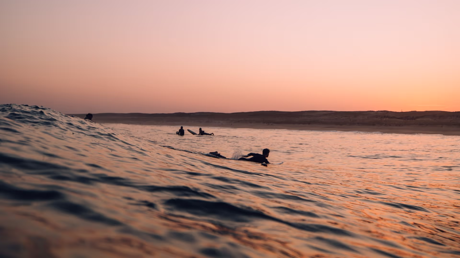 surfers at sunset
