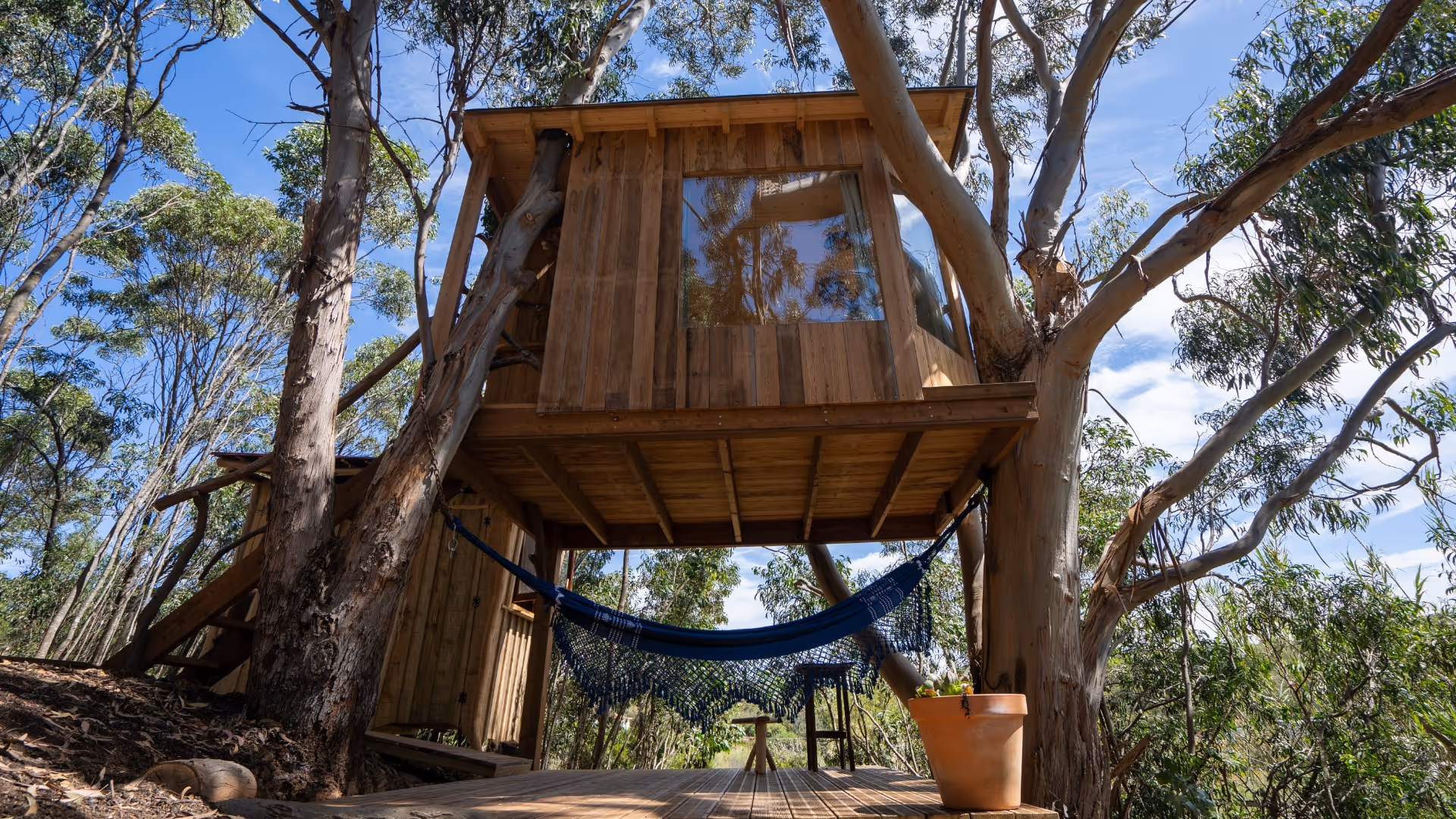 A stunning treehouse under the trees