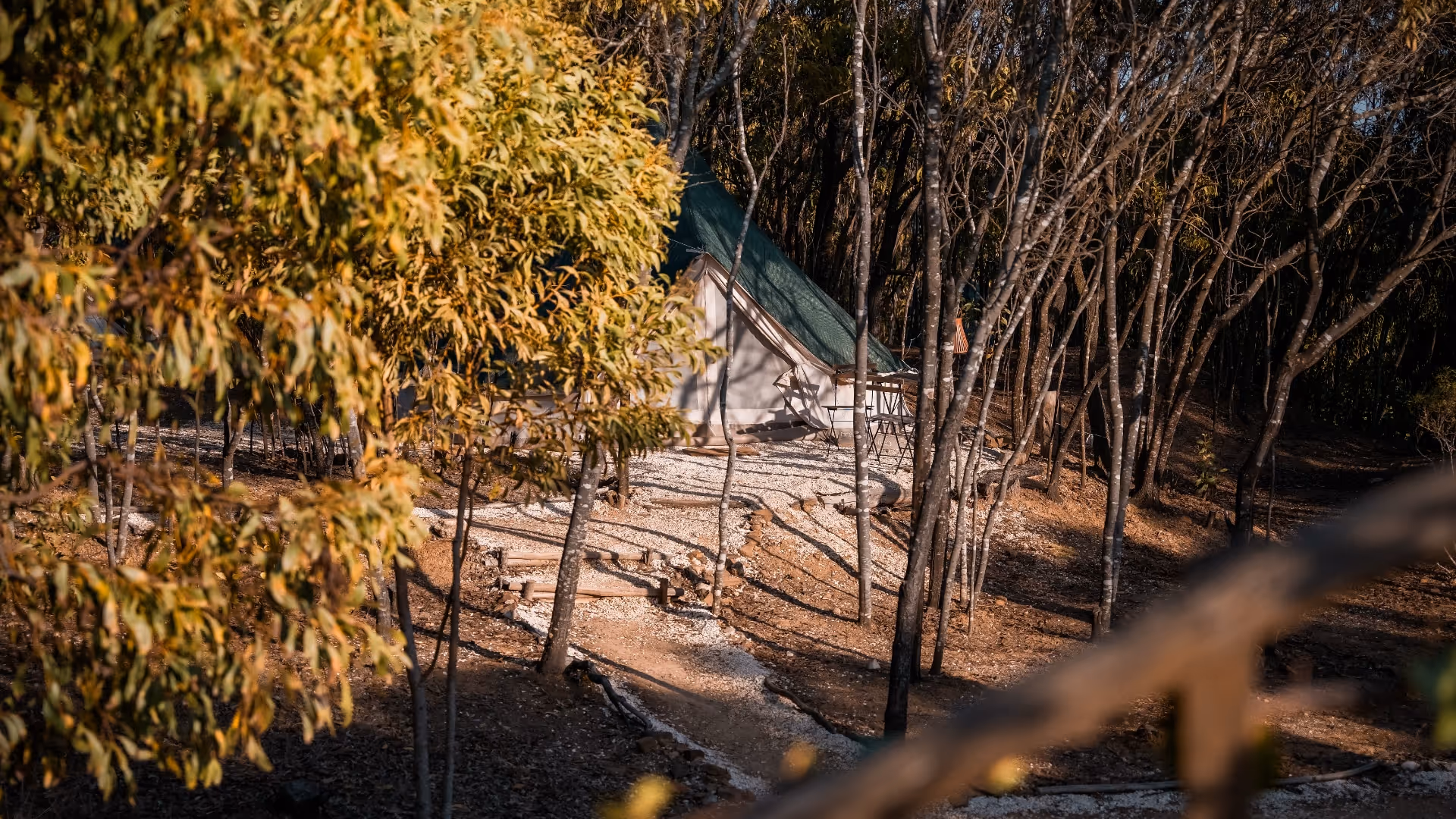 Glamping tent between the trees
