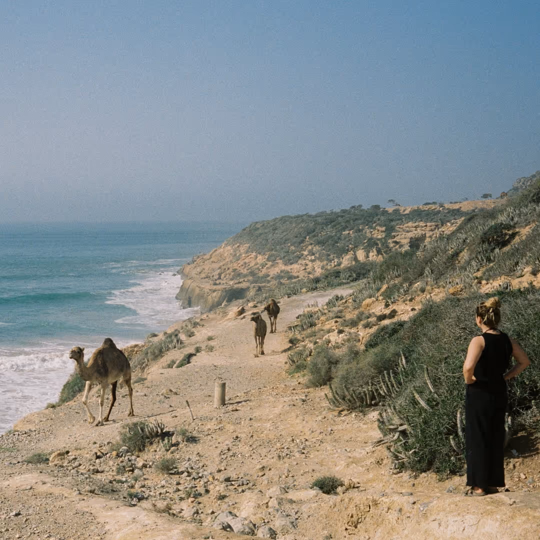 Girl watching the camels walk buy