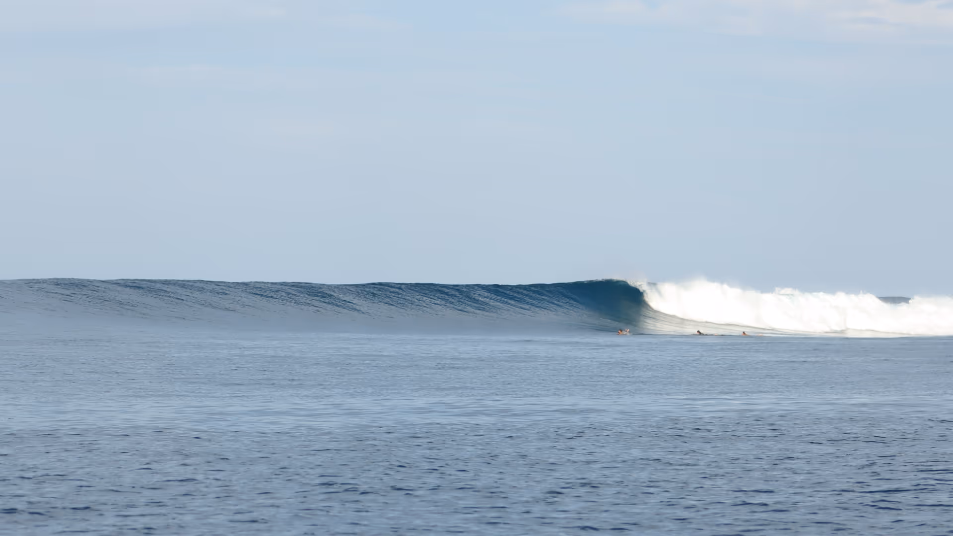 perfect pumping wave, no crowds