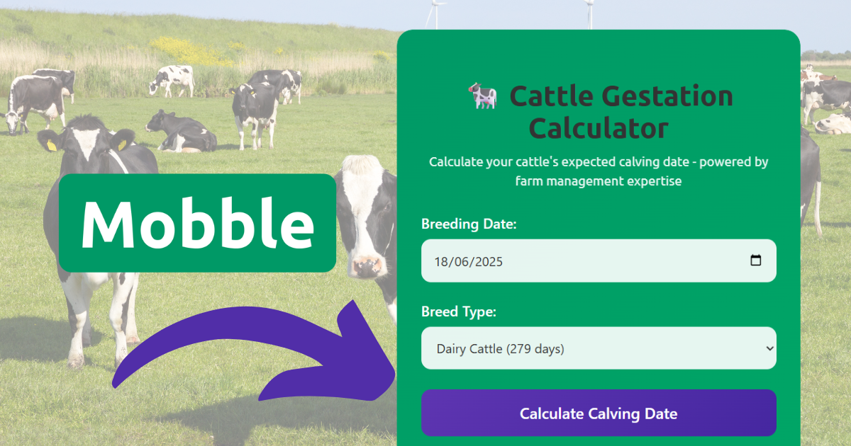 Cattle Gestation Calculator - Free Cow Due Date Calculator