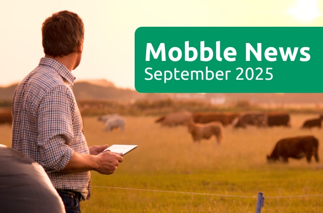 Mobble News - September 2025