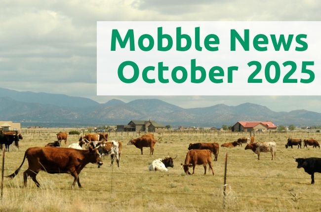 Mobble News - October 2025