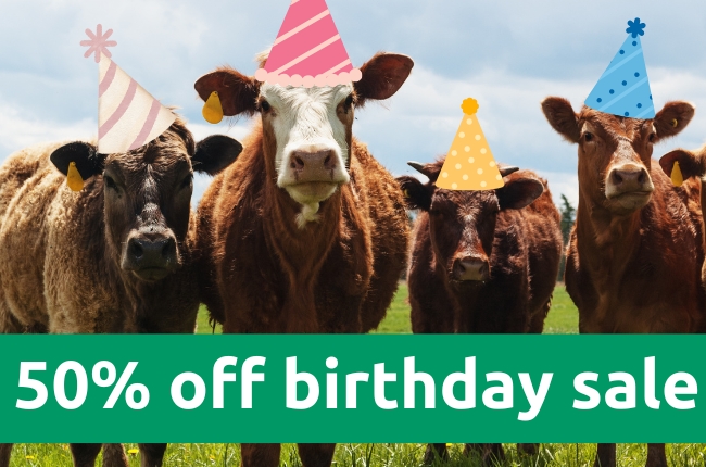 It's Mobble's Birthday – Celebrate With 50% Off!