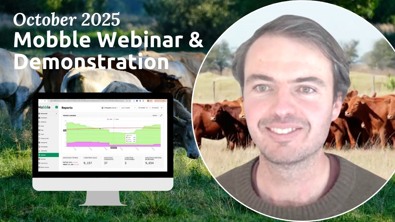 Mobble Webinar and Demo - October 2025