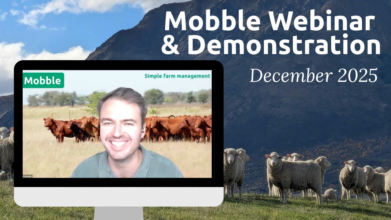 December 2025 Webinar & Demo