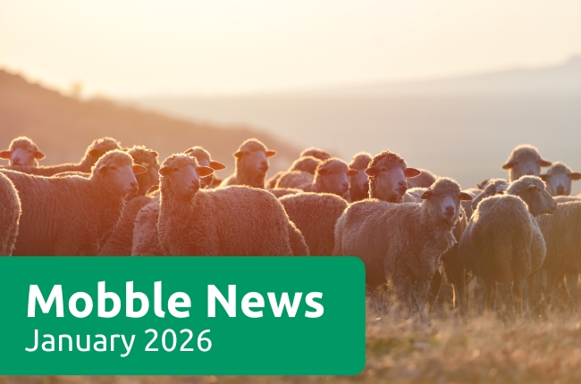 Mobble News - January 2026