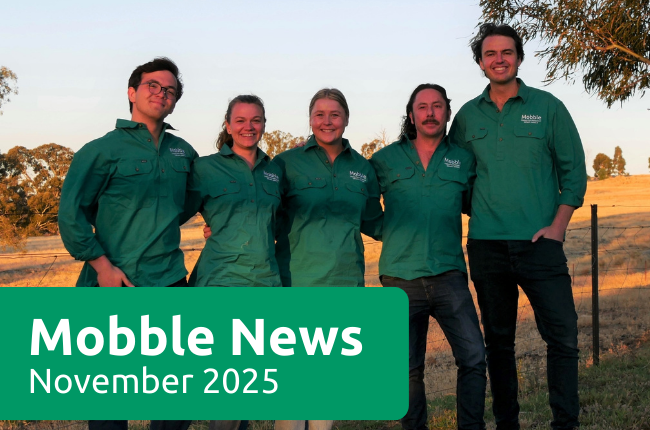 Mobble News- November 2025