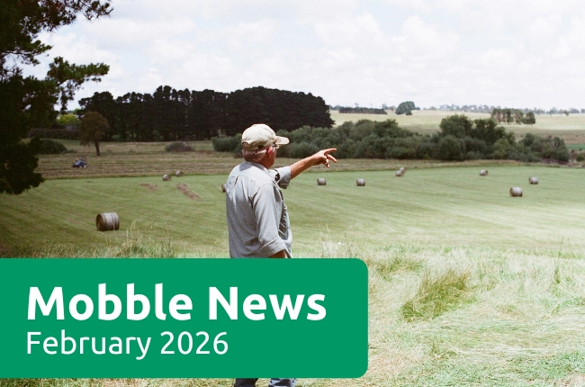  Mobble News - February 2026