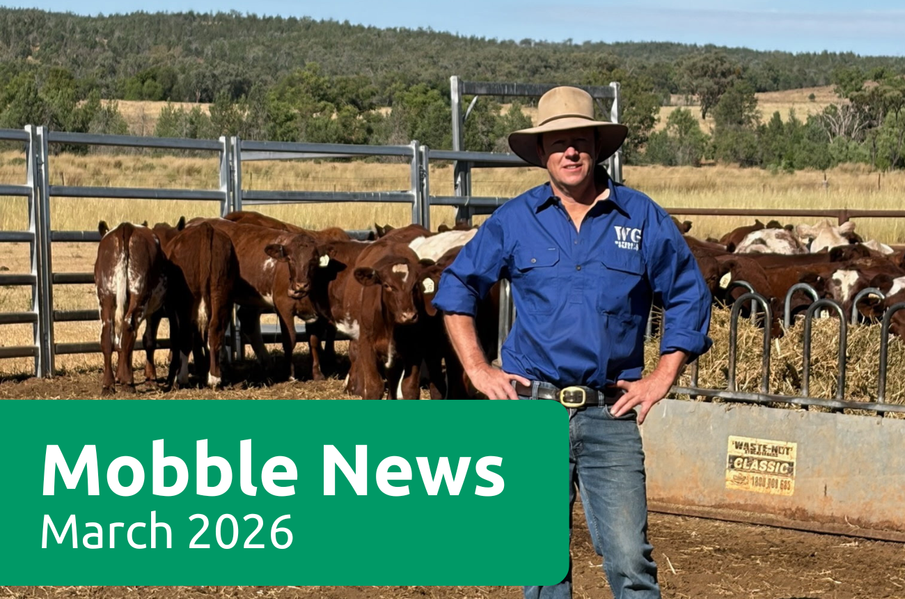 Mobble News March 2026