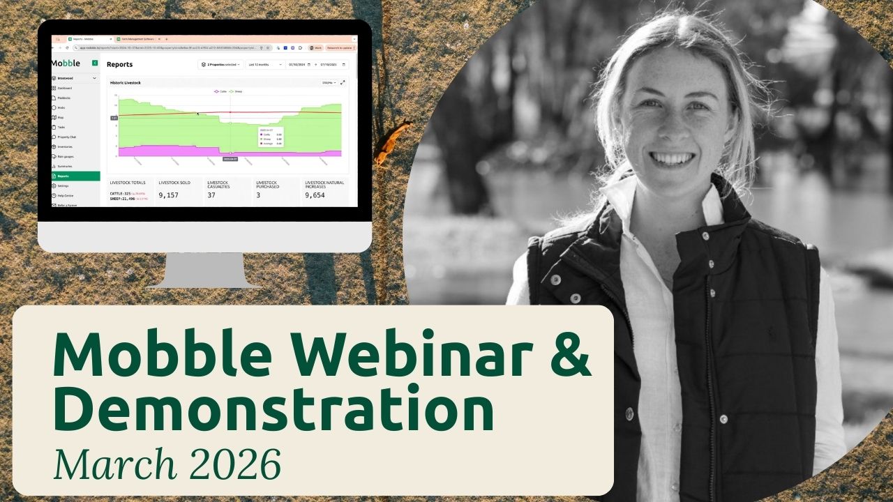 March 2026 - Webinar & Demo