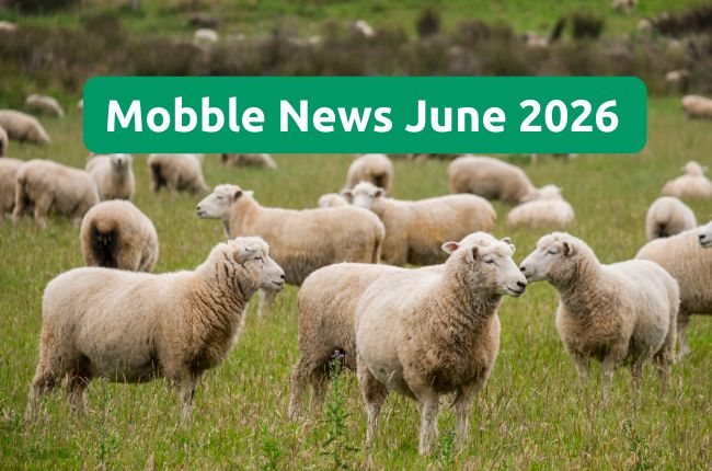 Mobble News - June 2026