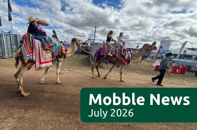 Mobble News - July 2026