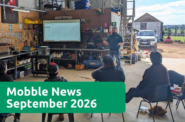 Mobble News - September 2026