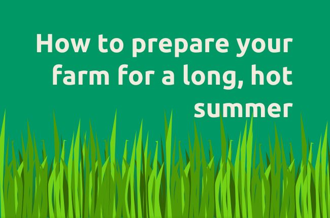 How To Prepare Your Farm For A Long Hot Summer