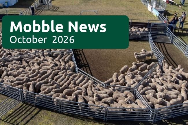 Mobble News - October 2026