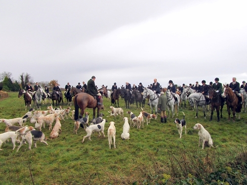 Beaufort Bike Behind Hounds