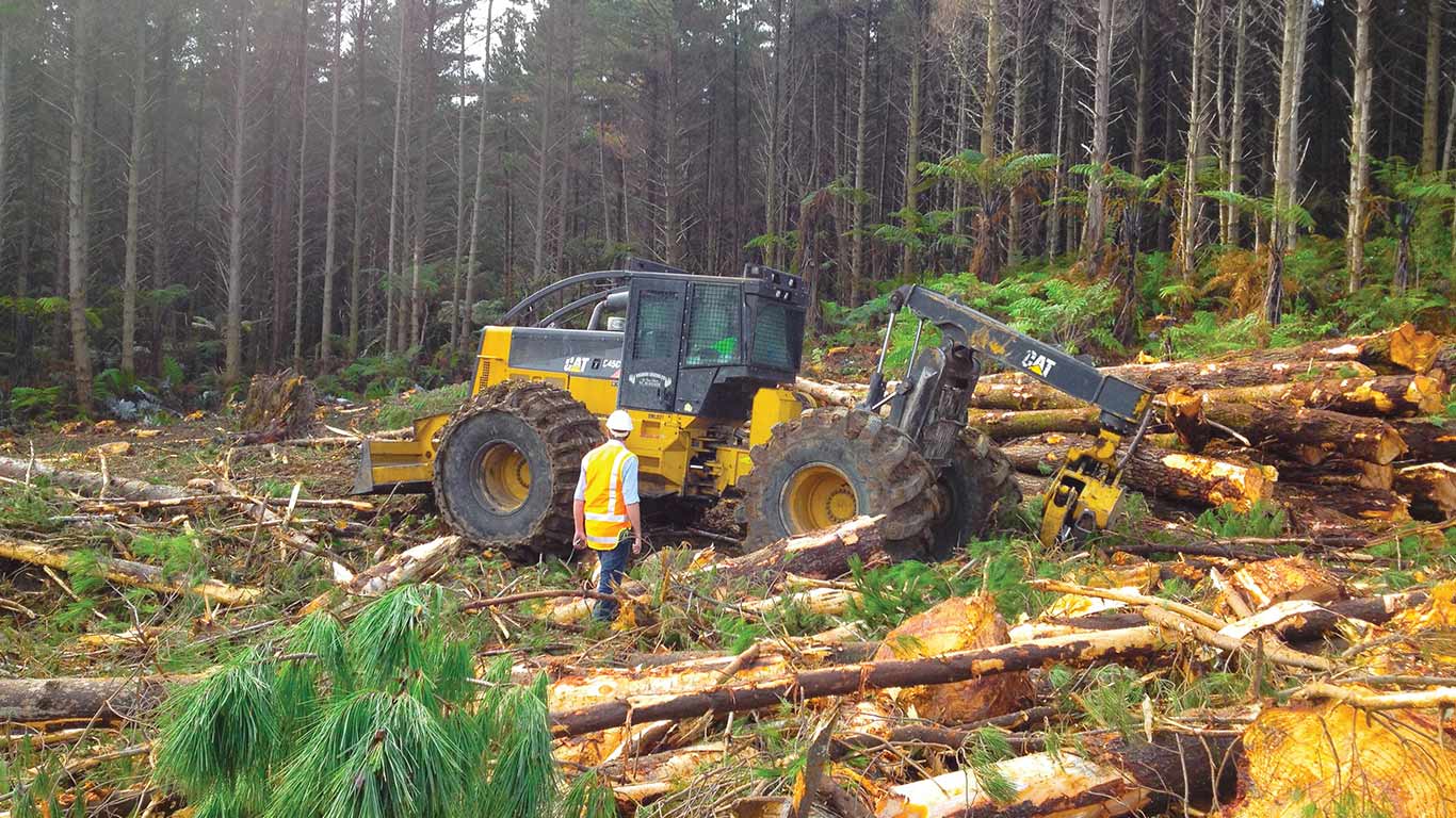 OTR & Forestry Tyres