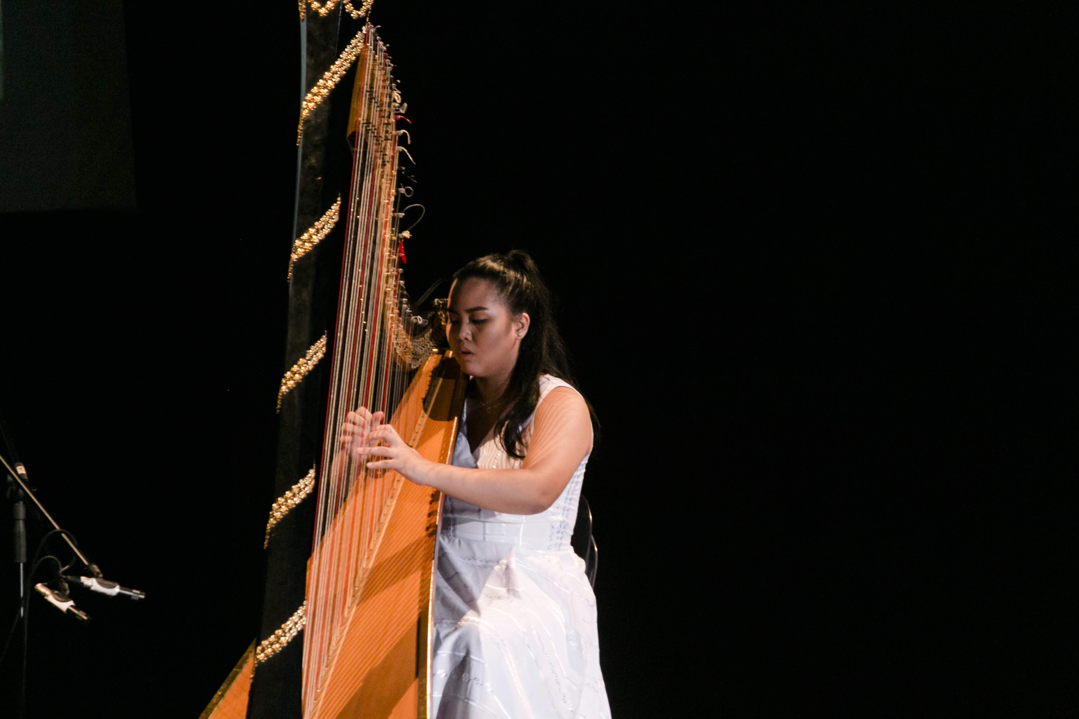Growing with the Harp