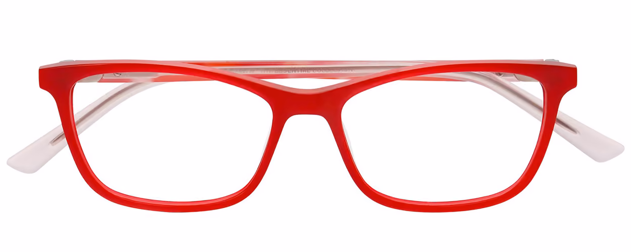 ProDesign Denmark Essential - Elate 3655 Colour 4022 Glasses Front View