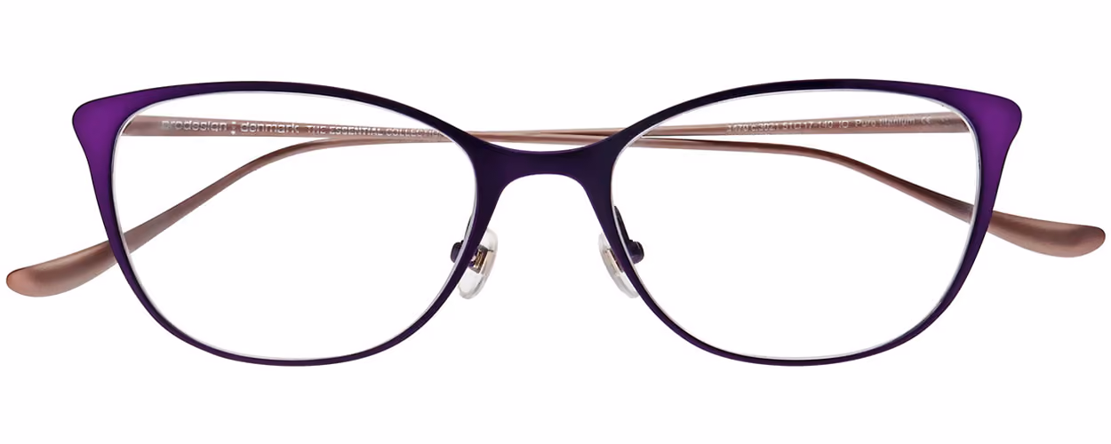 ProDesign Denmark Essential - Conical Titanium 1470 Colour 3021 Glasses Front View