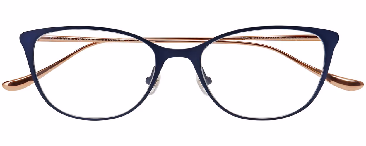 ProDesign Denmark Essential - Conical Titanium 1470 Colour 9021 Glasses Front View