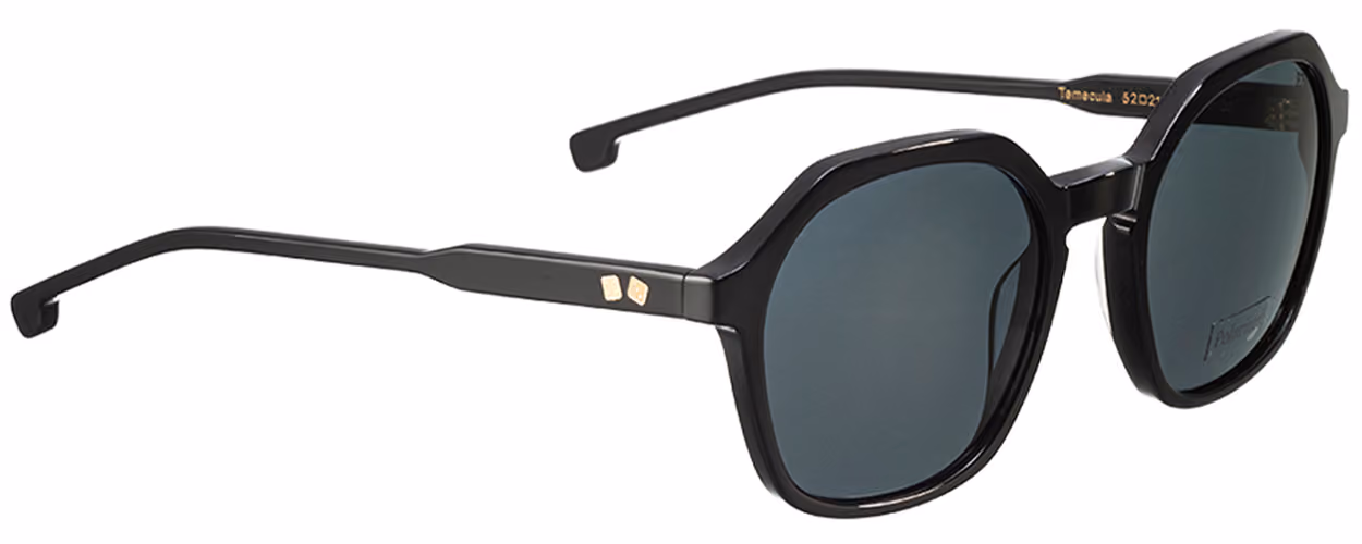 Entourage Of 7 Suns Temecula-0101 Sunglasses Side View