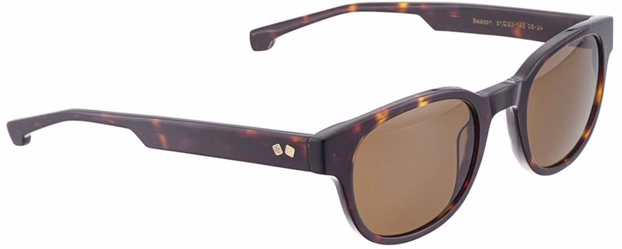 Entourage Of 7 Suns Beacon-0824 Sunglasses Side View