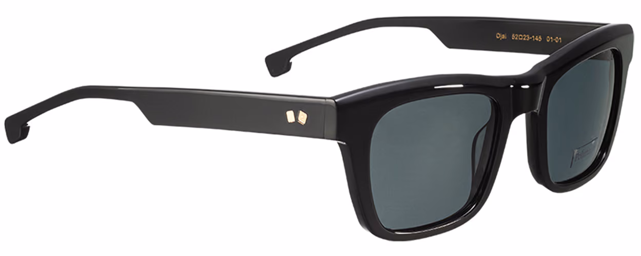 Entourage Of 7 Suns Ojai-0101 Sunglasses Side View