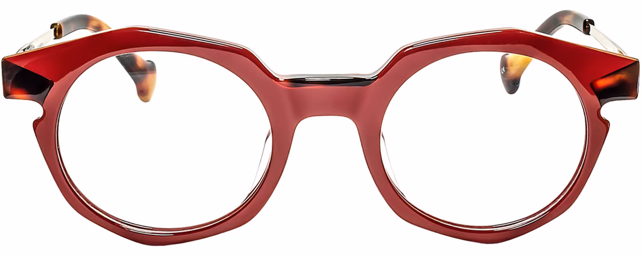 Albert I'mStein New York - C5 Glasses Front View From Eyedeal Vision