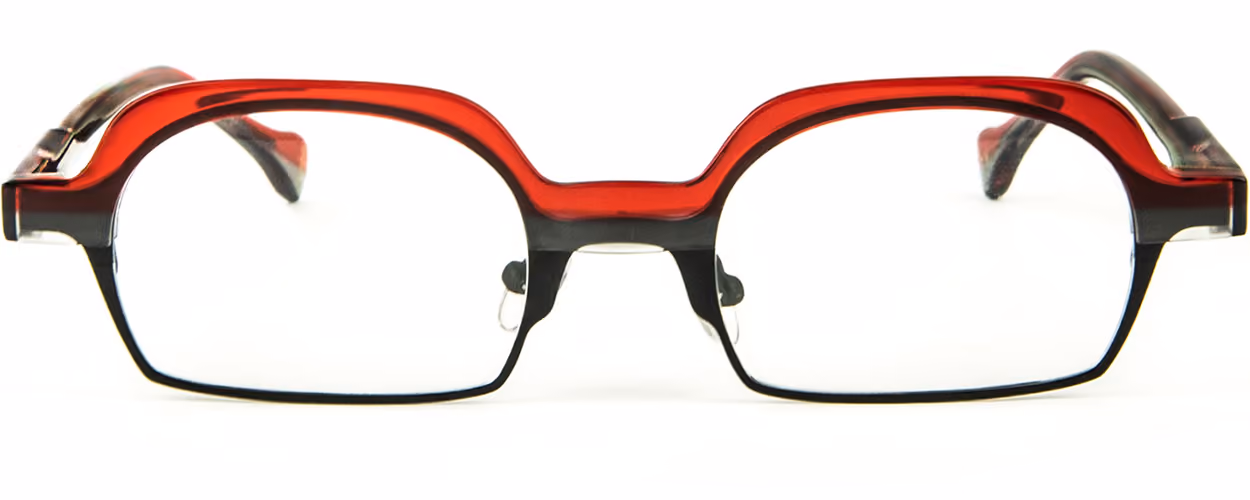 Albert I'mStein Link - C6 Glasses Front View From Eyedeal Vision