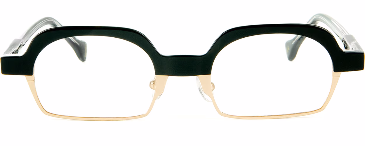 Albert I'mStein Link - C2 Glasses Front View From Eyedeal Vision