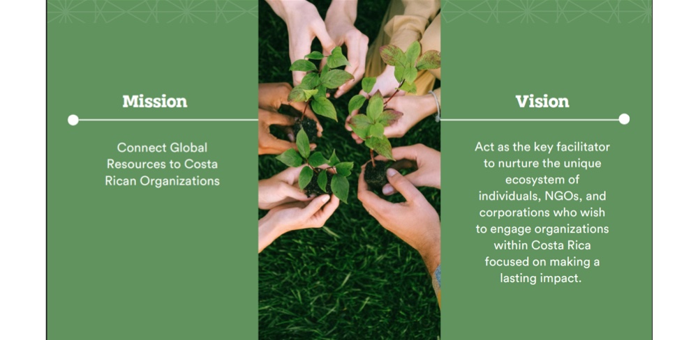 Hands holding a young plant, representing community growth and support