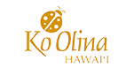 Customer Company Logo