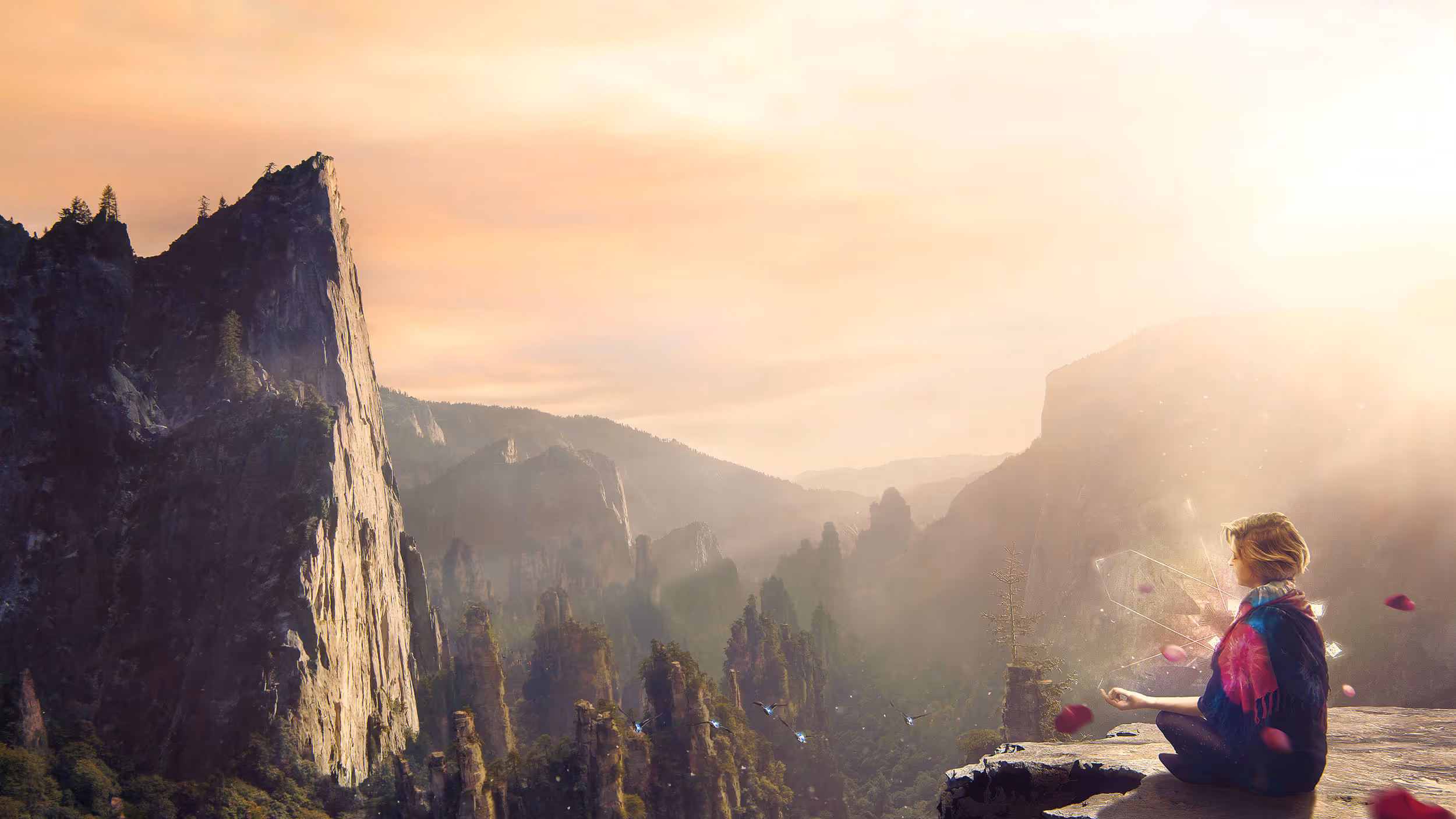 Desktopography exhibition / Kahika - Sunjay