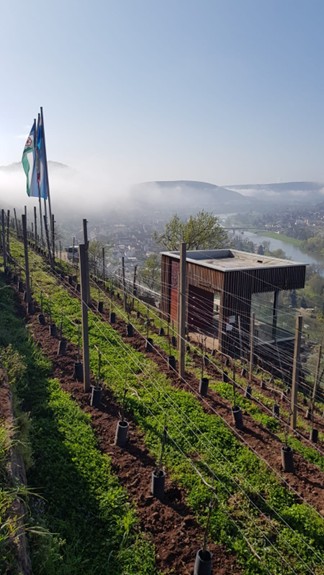 Terroir f am Rotweinwanderweg