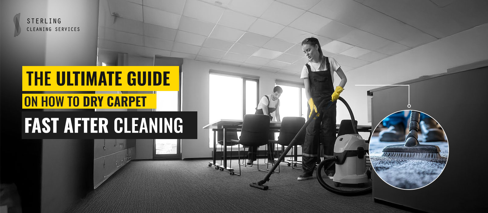 The Ultimate Guide on How to Dry Carpet Fast After Cleaning