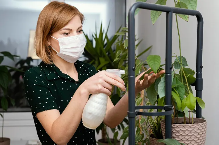 Our Approach to Eco-Friendly Airbnb Cleaning for Healthier Stays