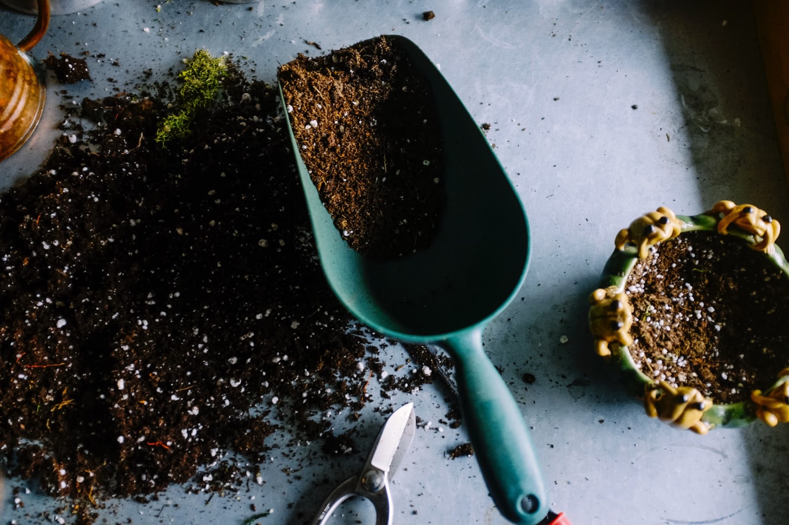 Close-up of a green garden scoop filled with rich potting soil beside a small planter, highlighting soil improvement and preparation for healthy planting.